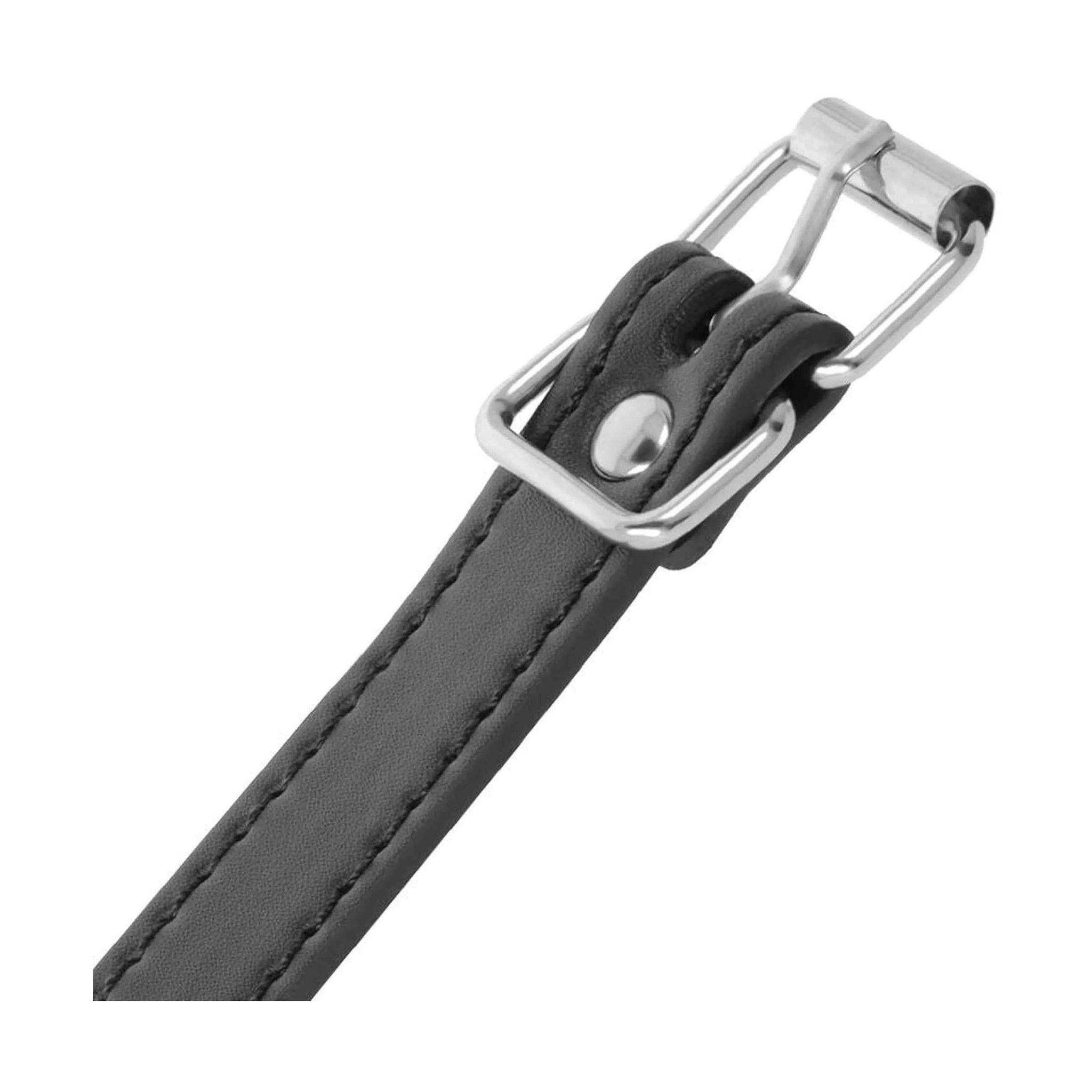 Castità Collare e Guinzaglio per Pene