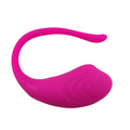 Wireless Vibrating Egg