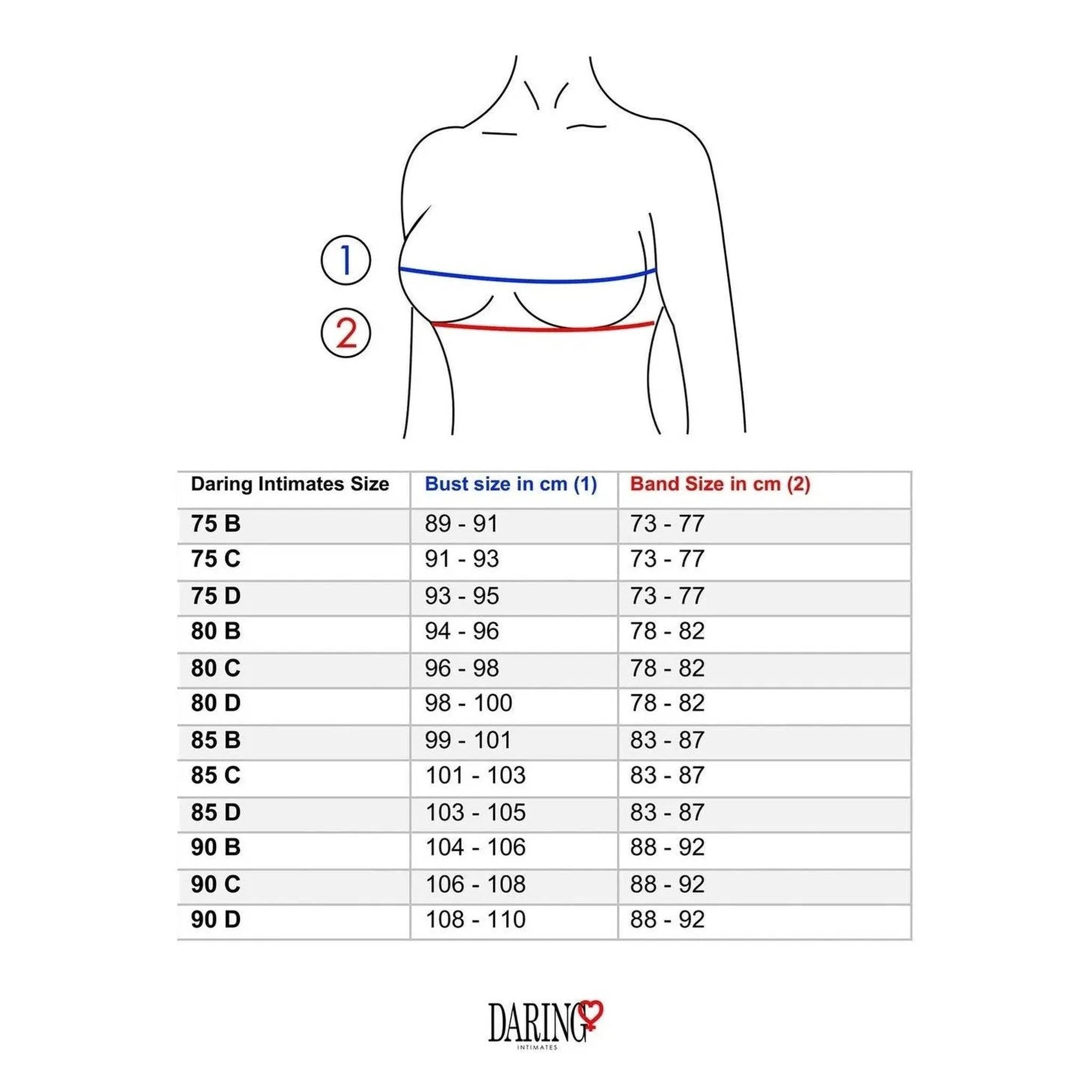 Reggiseno Sexy Con Pizzo Nero e Inserto Centrale Trasparente