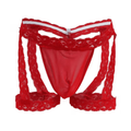 Sissy Set Giarrettiera con Slip in Pizzo