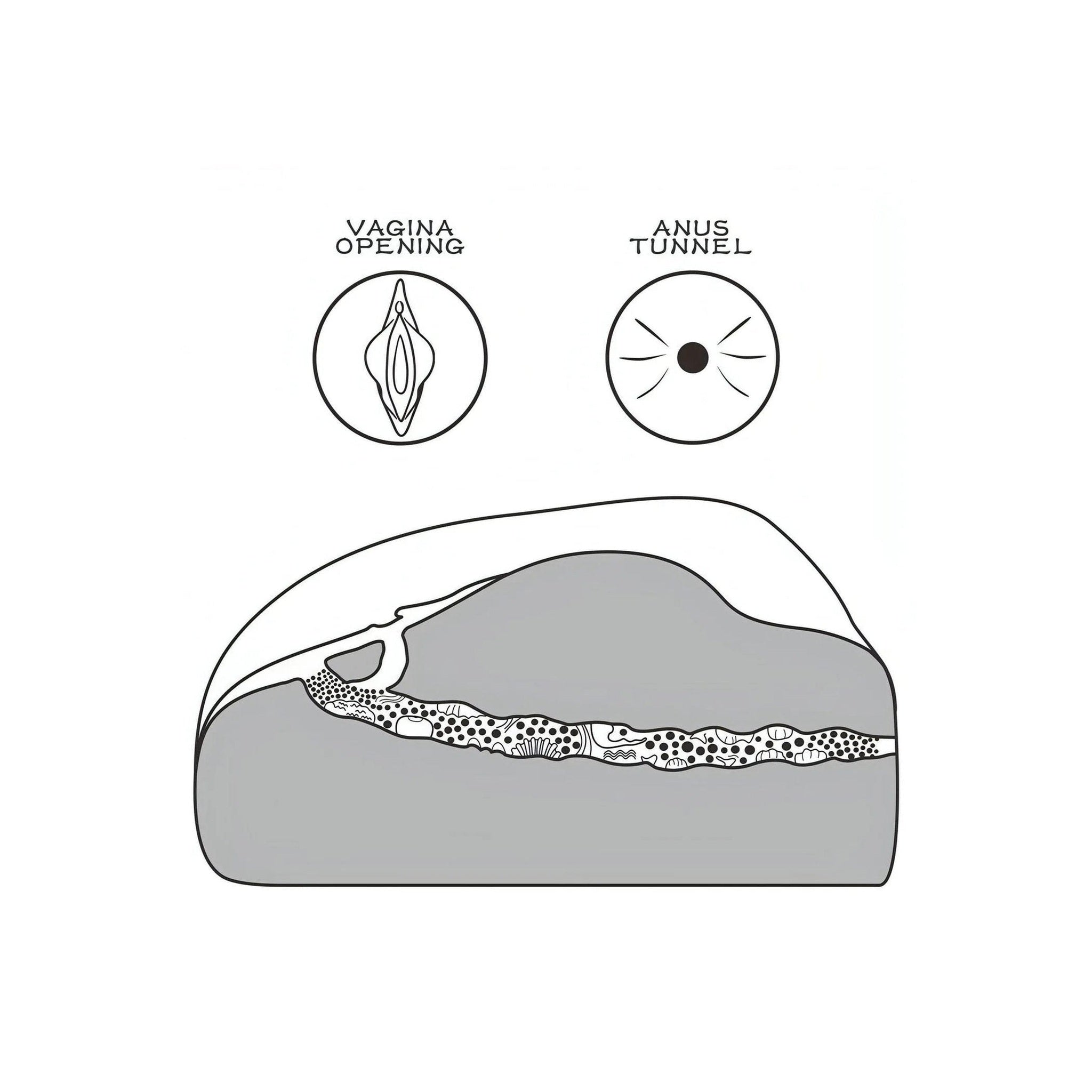 Streetgirl's No. 1 – Masturbatore Ano e Vagina Realistico - Rosa