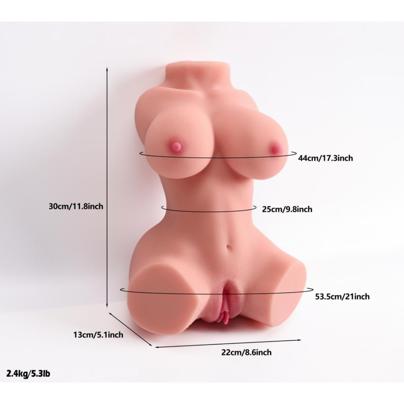 Torso Donna Realistico 2.4 Kg Con Seno Prosperoso