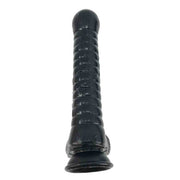 28.5cm Realistic Dildo