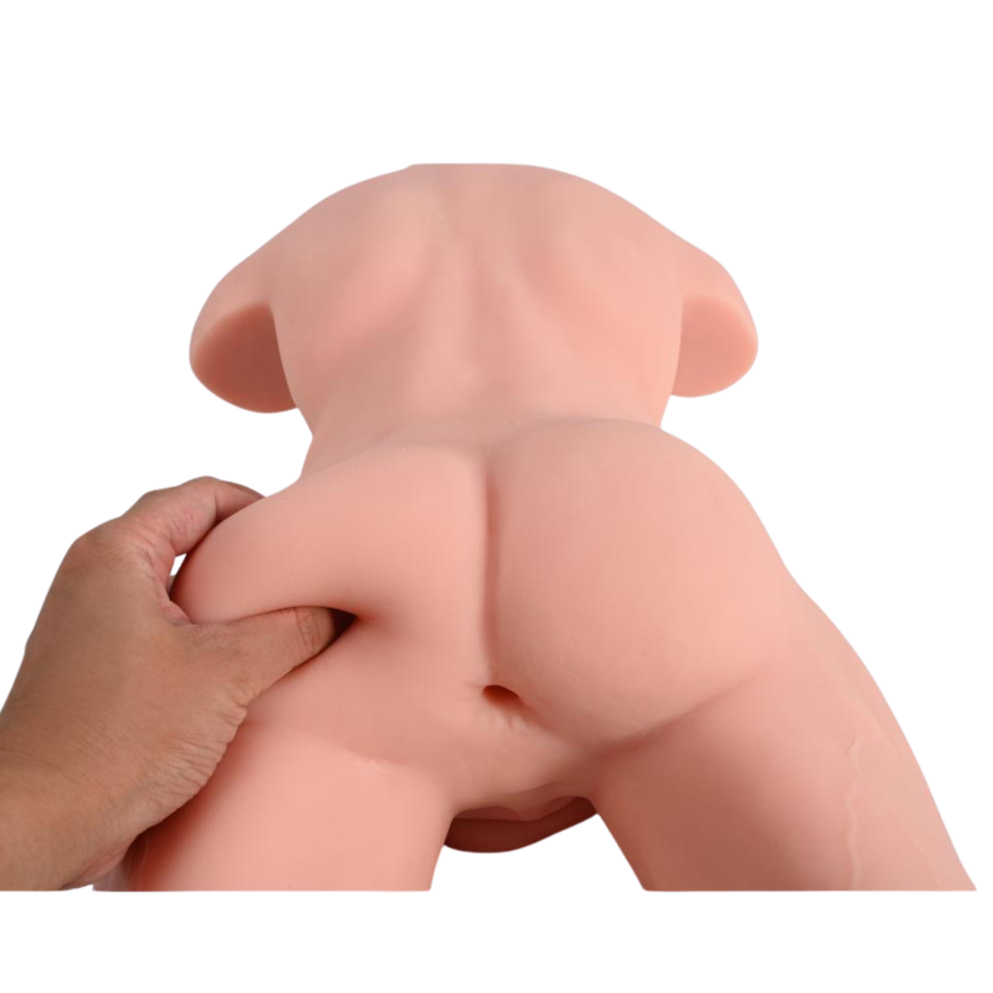 Spettacolare Torso Maschile 6.1 Kg Con Pene 17.5 cm
