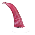Alien Killer Whale Penis Woman Masturbation Dildo