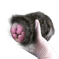 Artificial Animal Cat Pussy Design Silicone Masturbators Ass Doll For Men