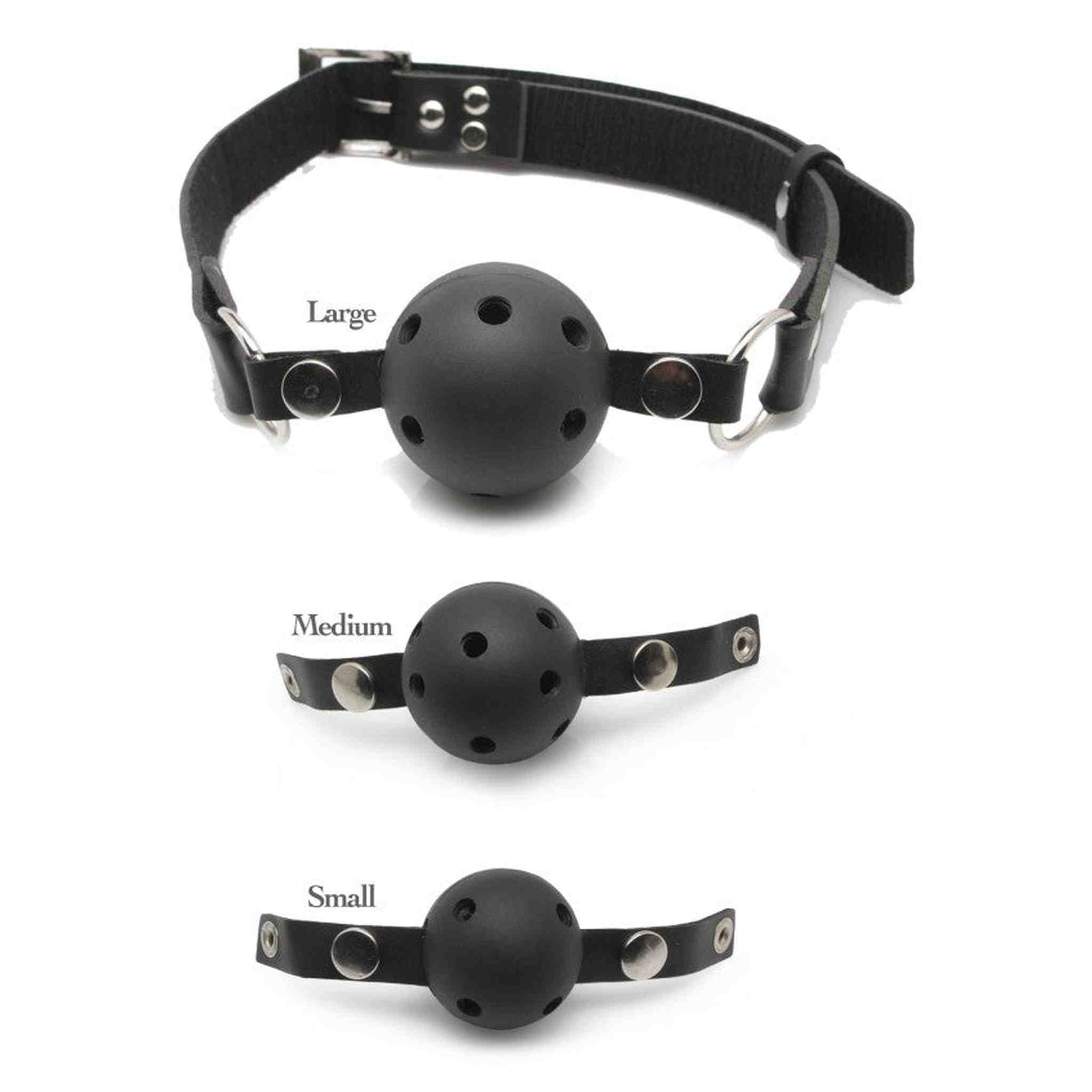 Ball Gag Training System