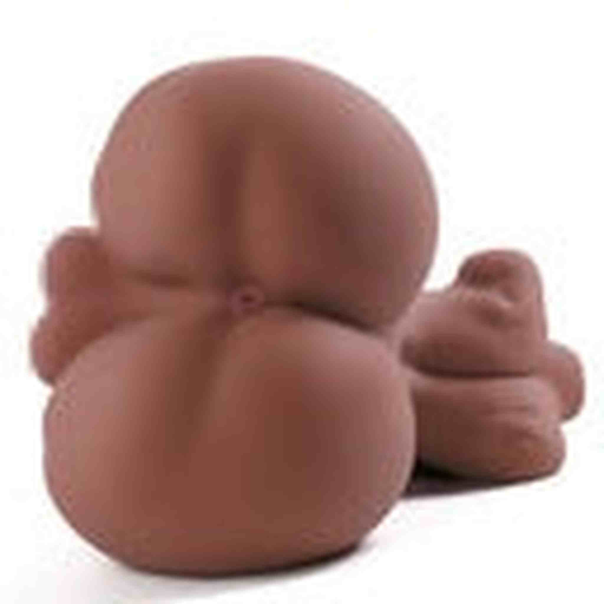 Busto con Pene Muscoloso e Formoso 6.5 kg