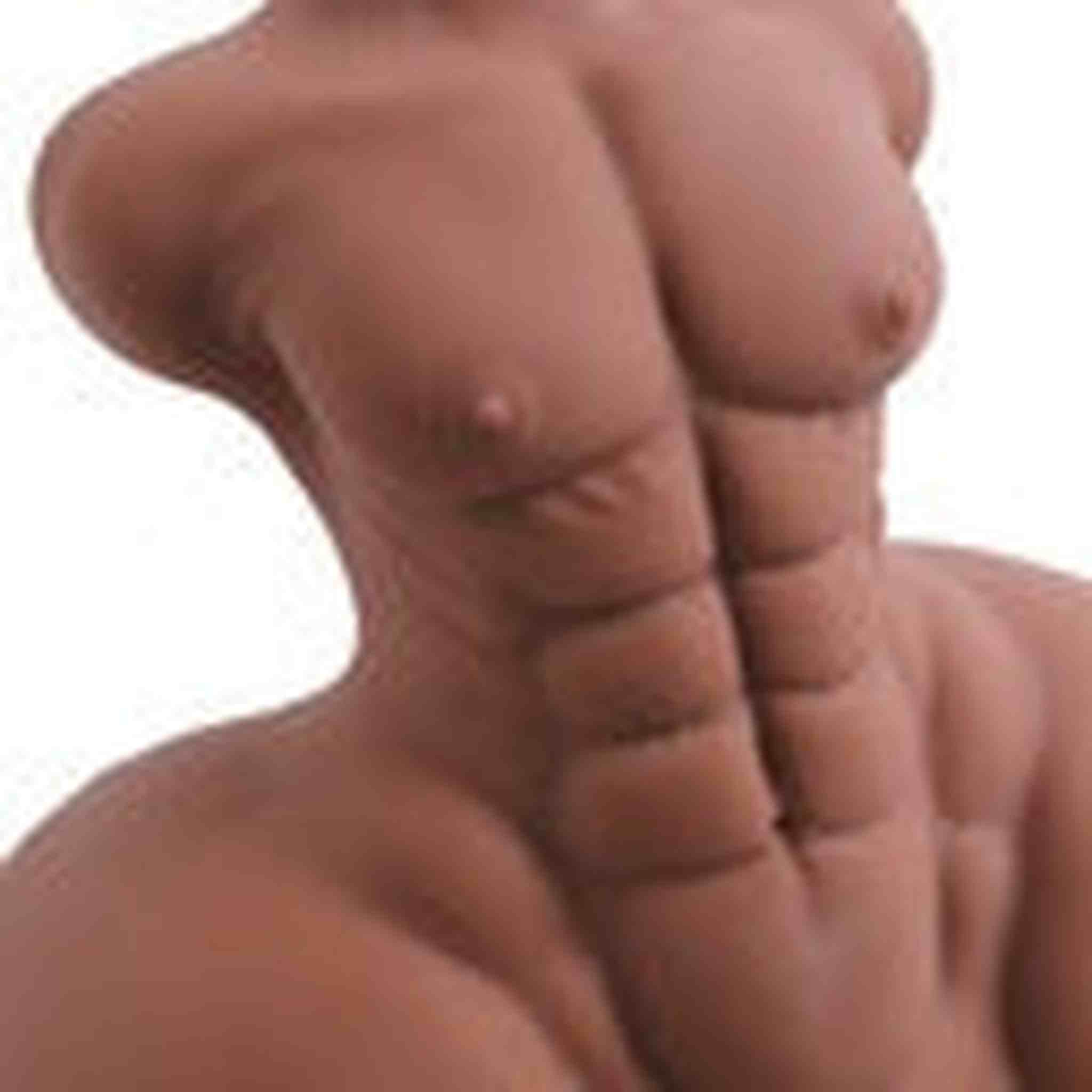 Busto con Pene Muscoloso e Formoso 6.5 kg
