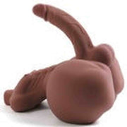 Busto con Pene Muscoloso e Formoso 6.5 kg
