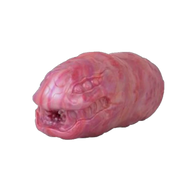 Centipede Male Masturbator