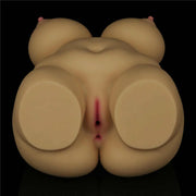 Chubby Torso Donna Realistico Formosa & Sensuale