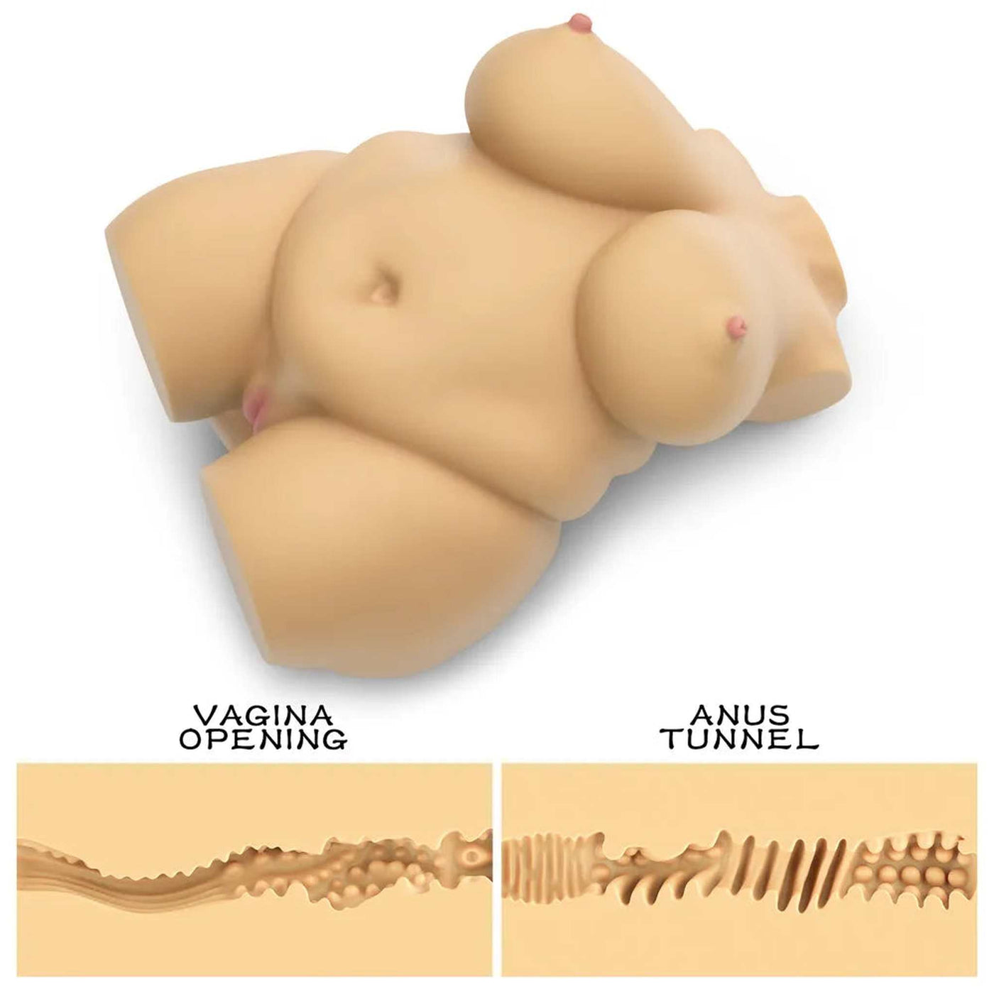 Chubby Torso Donna Realistico Formosa & Sensuale