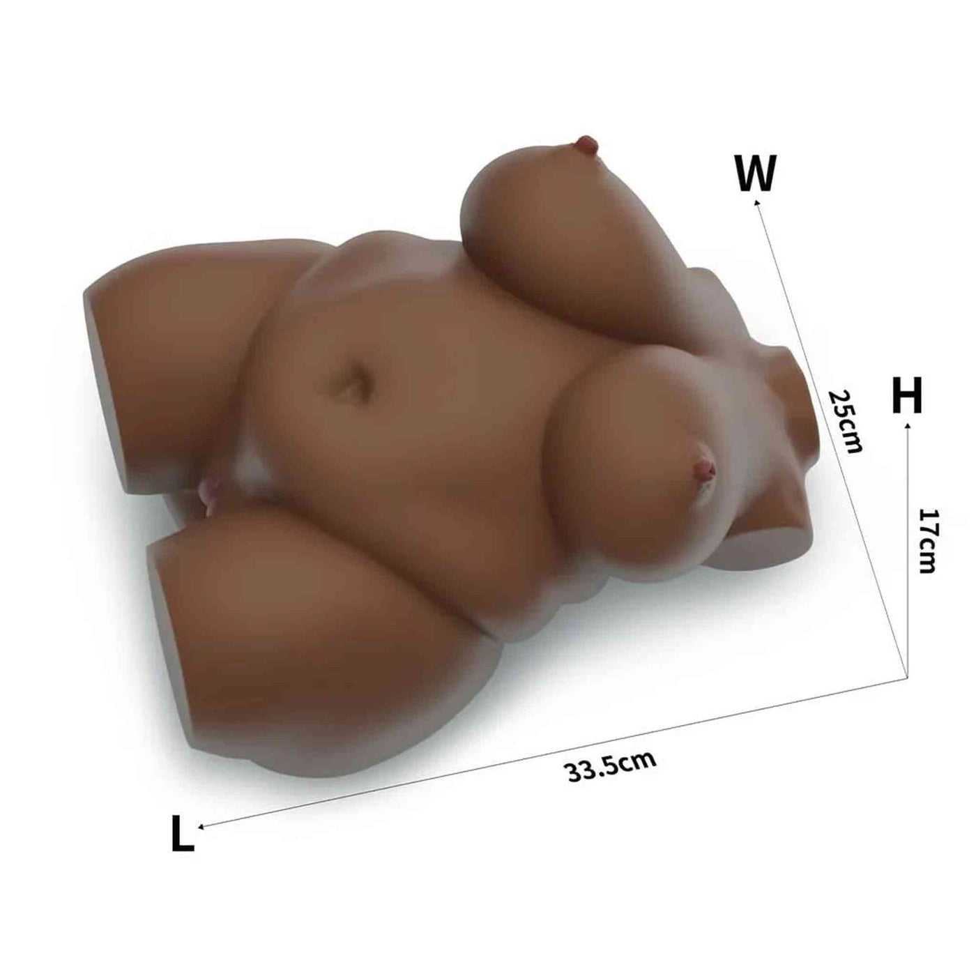 Chubby Torso Donna Realistico Formosa & Sensuale