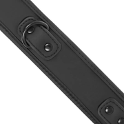 Collare doppia imbottitura con guinzaglio coordinato in metallo nero