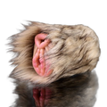 Donkey Vaginal Masturbators With Furry, Pussy Pocket Sex Toy for Men