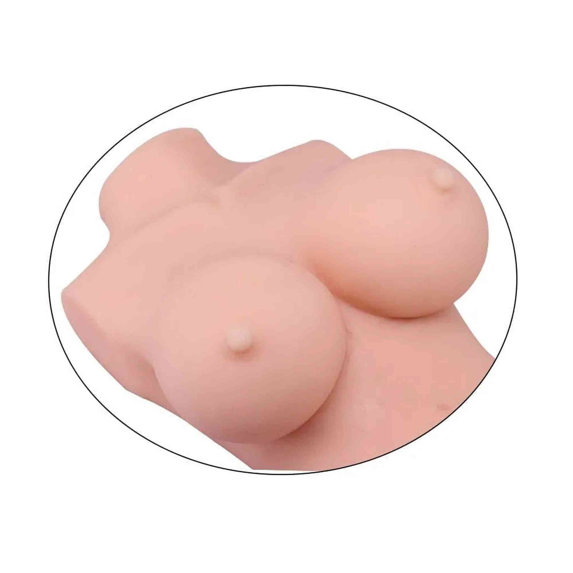 Torso Donna Compatto con Seno Prosperoso e Doppia Apertura