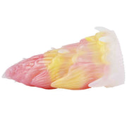 Dream conch masturbations for men