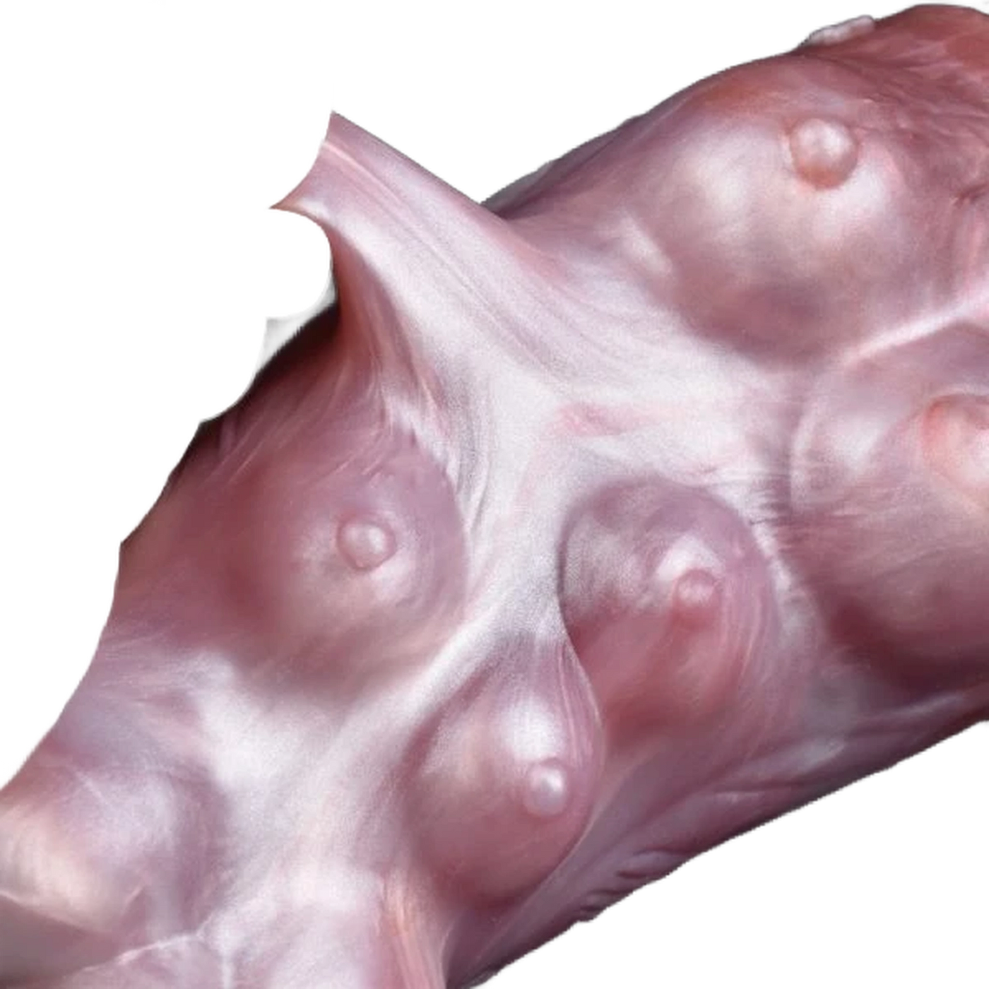 Dual channel fantasy masturbators