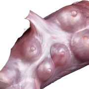Dual channel fantasy masturbators