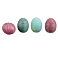 Egg of ovipositor