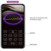 Elvira Palline Vibranti in Silicone con Comando tramite Smartphone