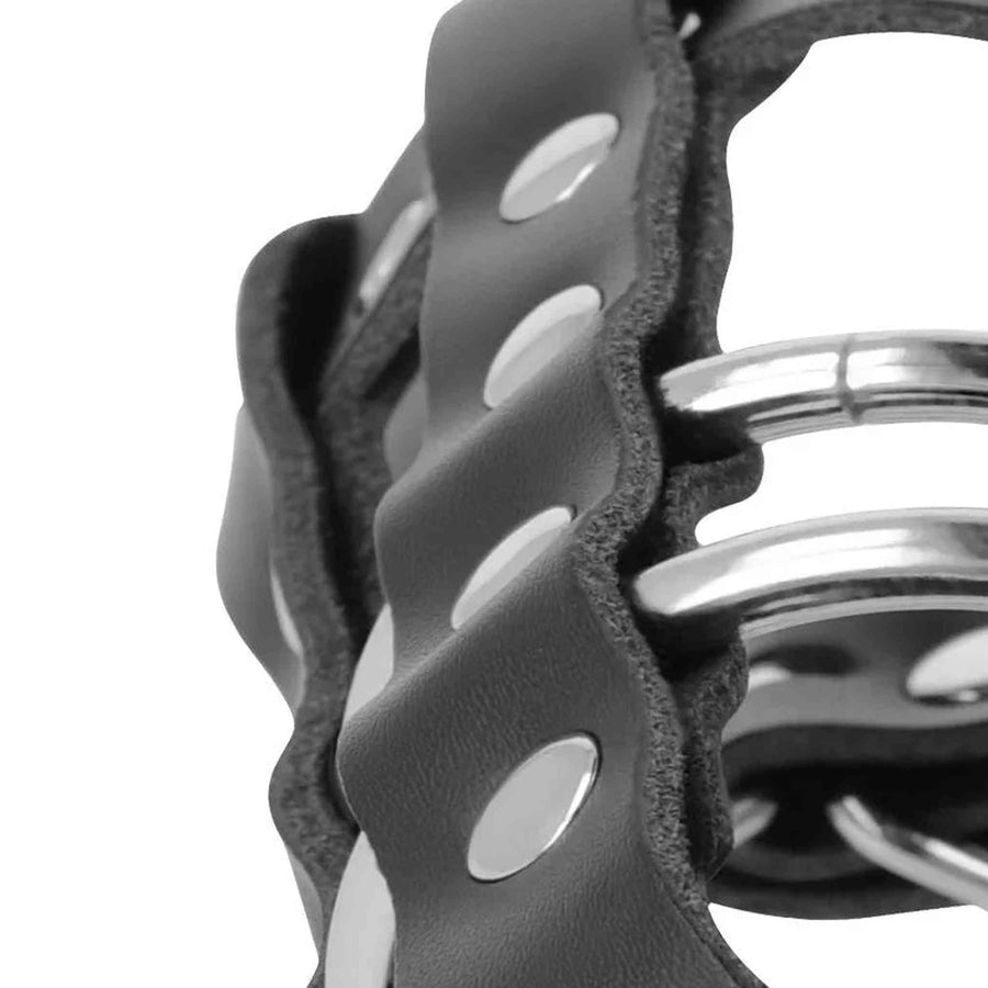 Penis Chastity Cage with Metal and Leather Rings