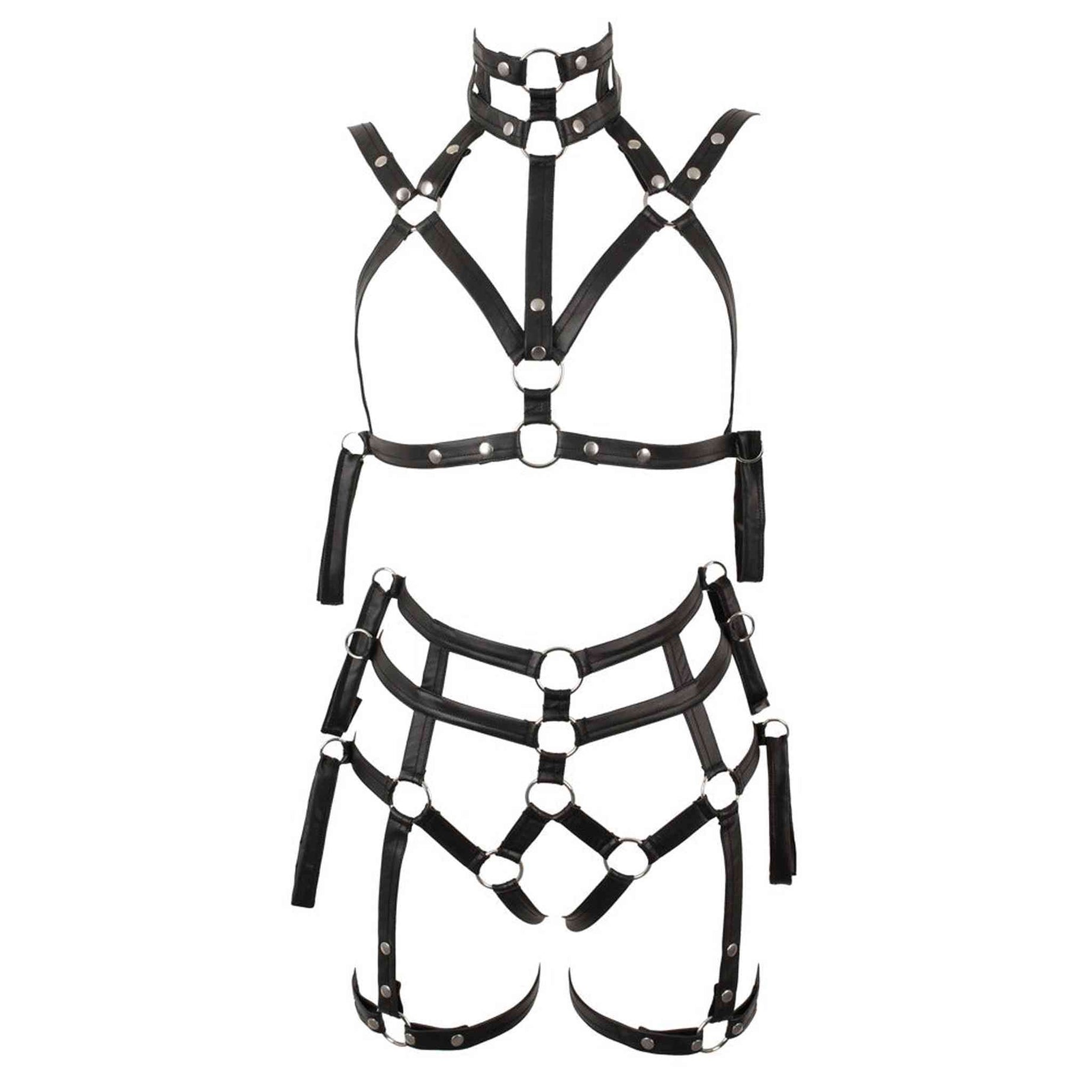 Harness