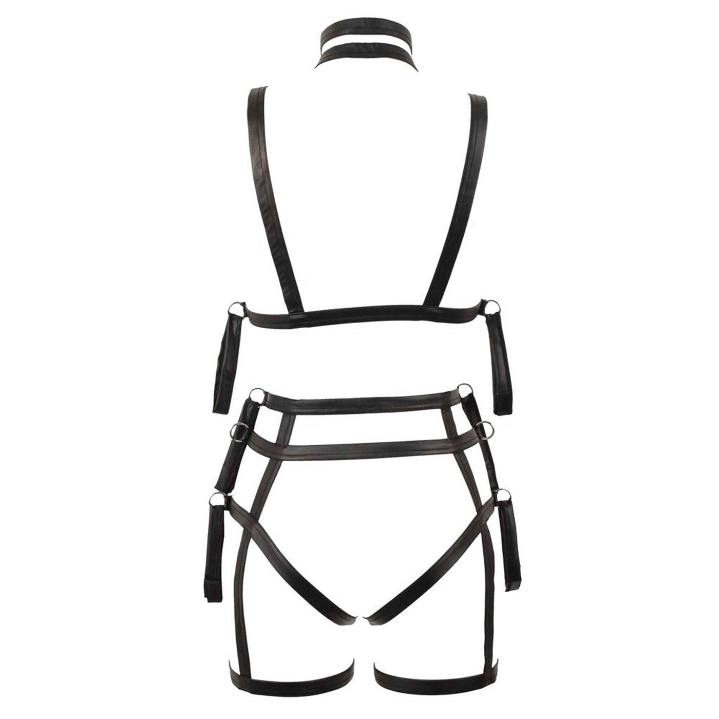 Harness