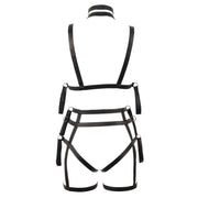 Harness