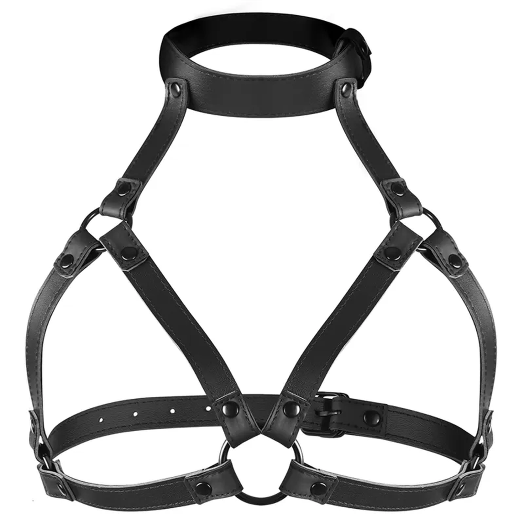 Harness Petto con Collare - Regoalbile