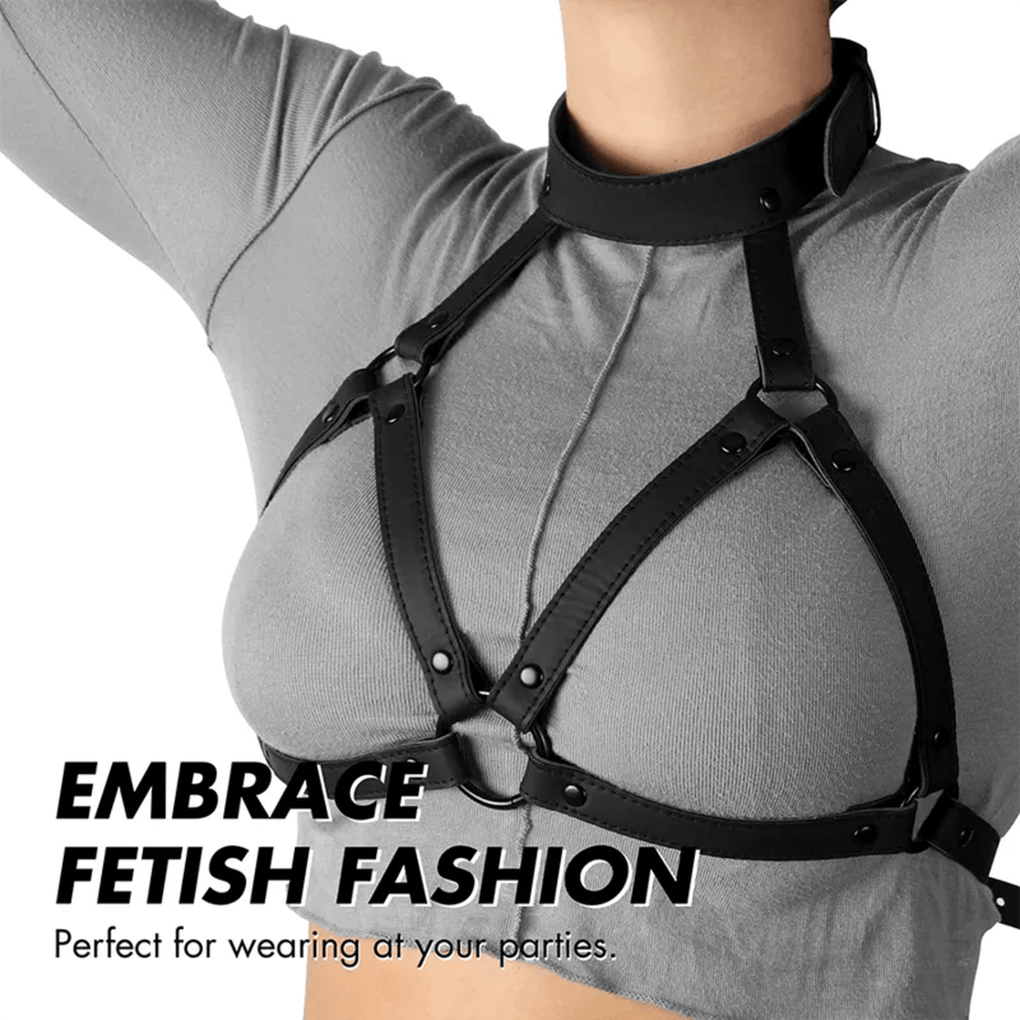 Harness Petto con Collare - Regoalbile