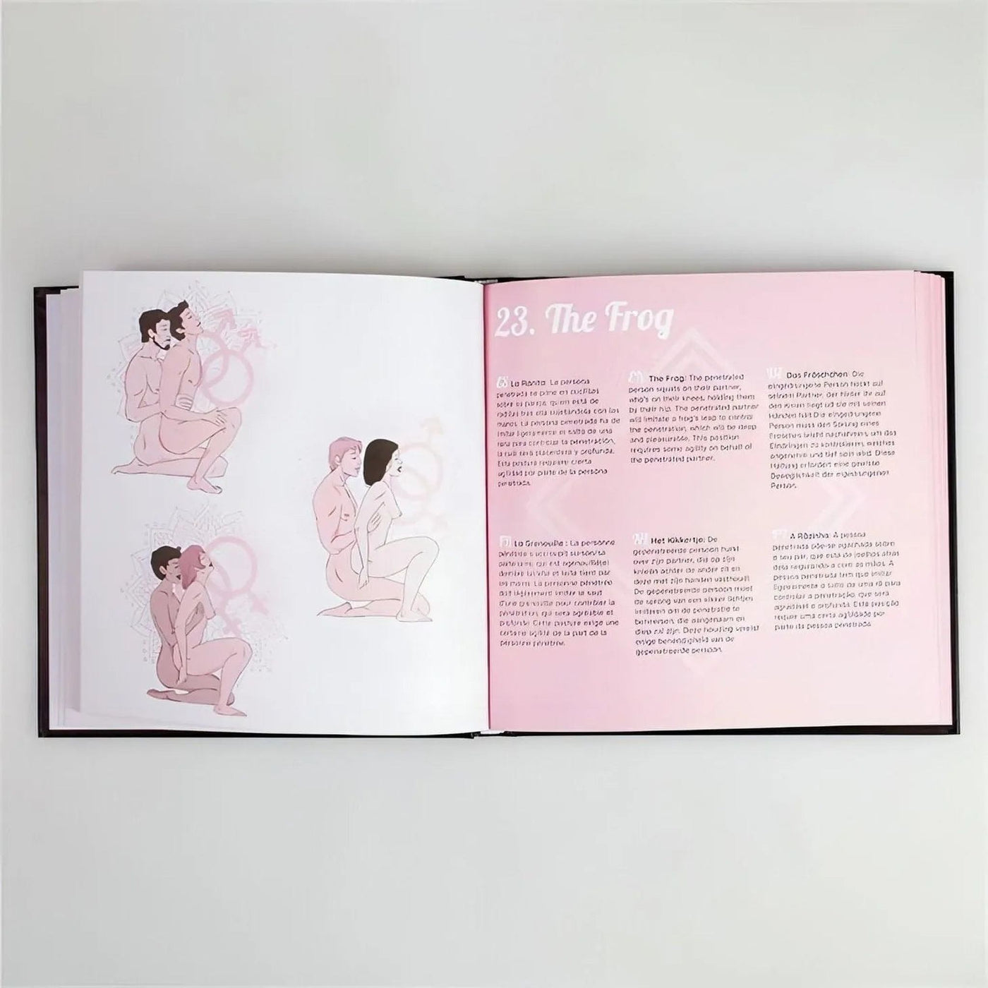 KamaSutra Sex Positions Book
