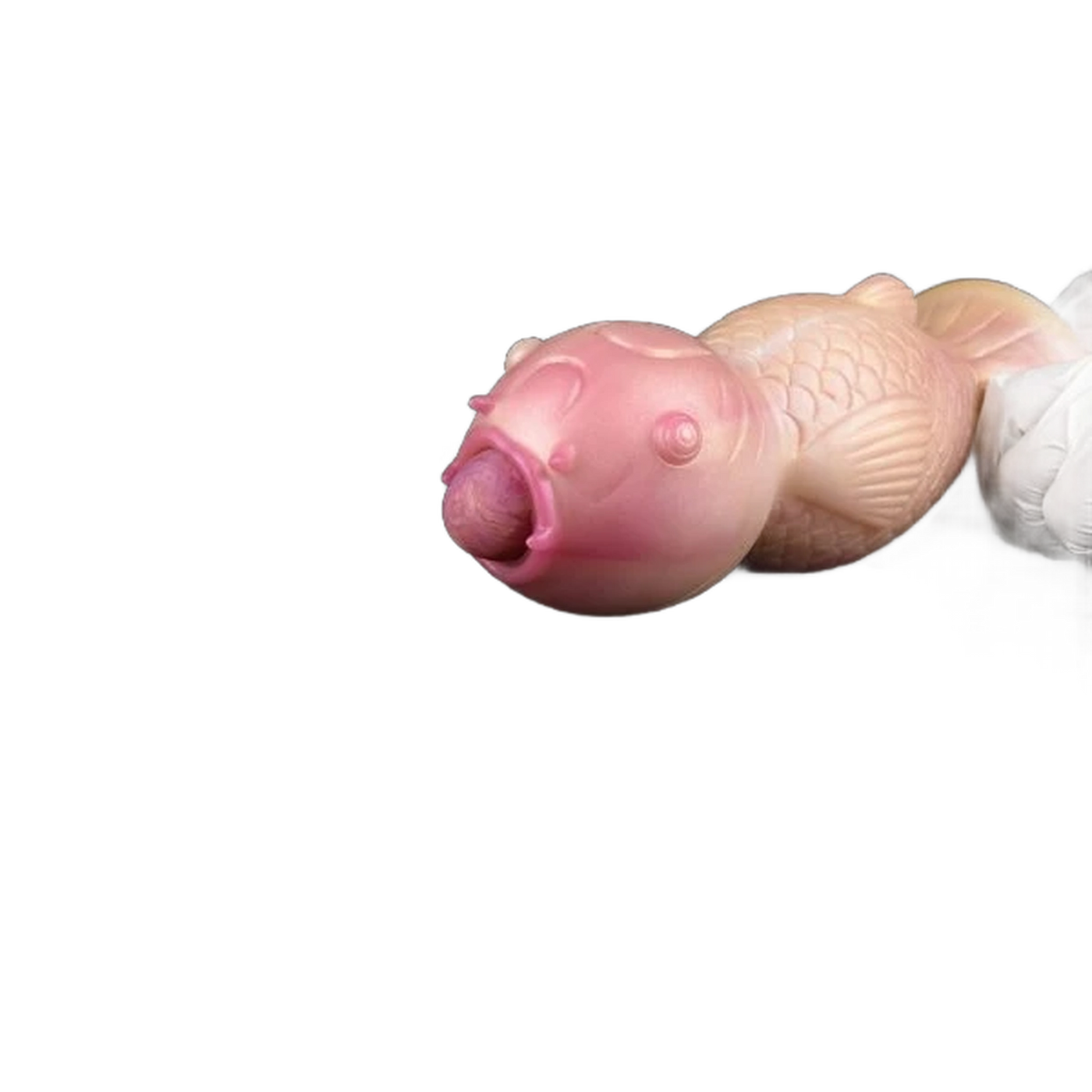 Koi Fish Ovipositer