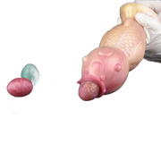 Koi Fish Ovipositer
