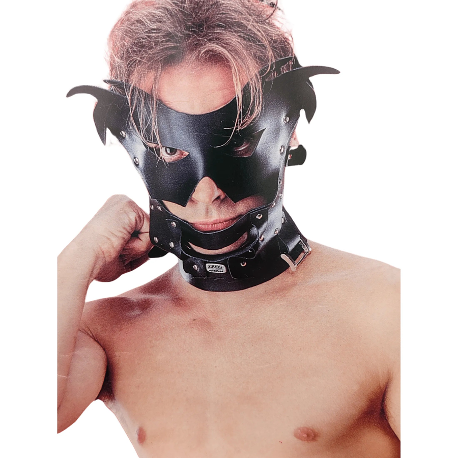Leather mask