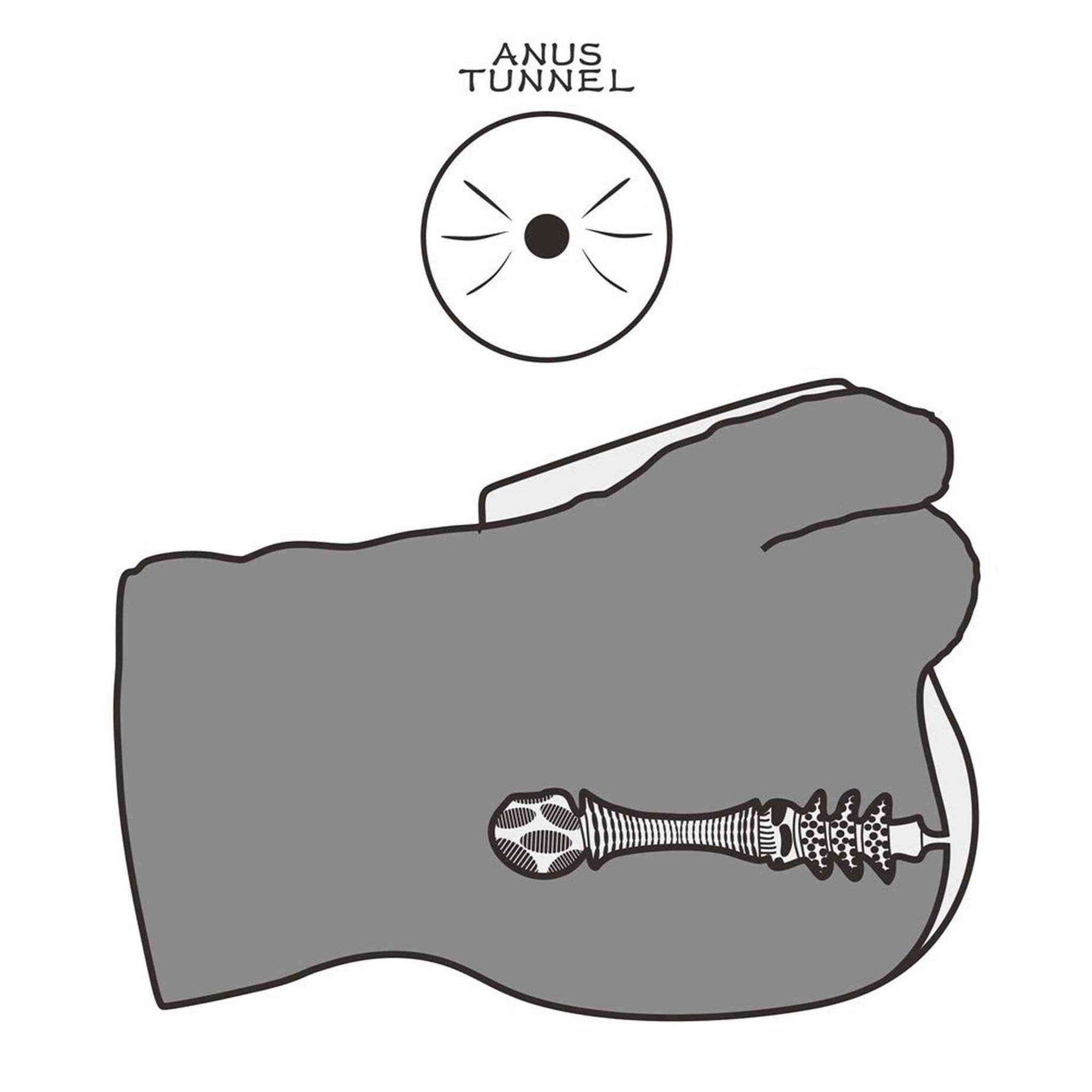 Masturbatore Realistico Ano e Pene 4 kg