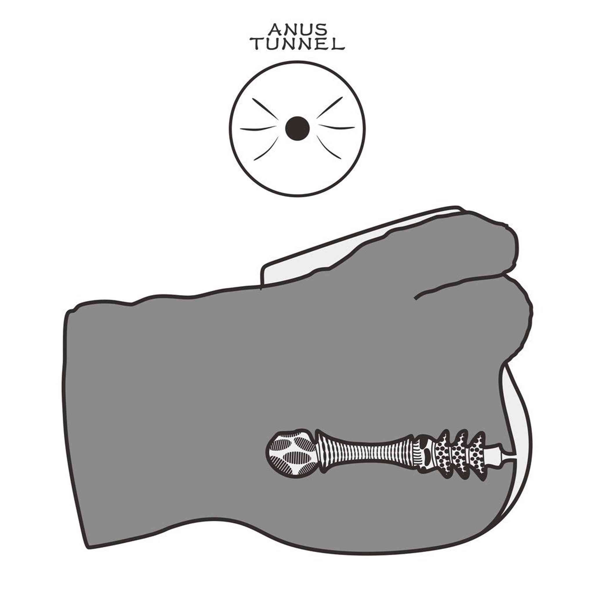 Masturbatore Realistico Ano e Pene 4 kg