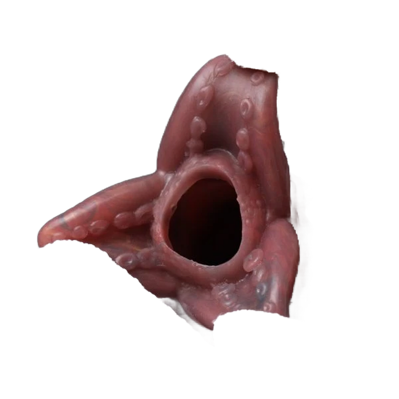 Pandora Ovipositor Pump