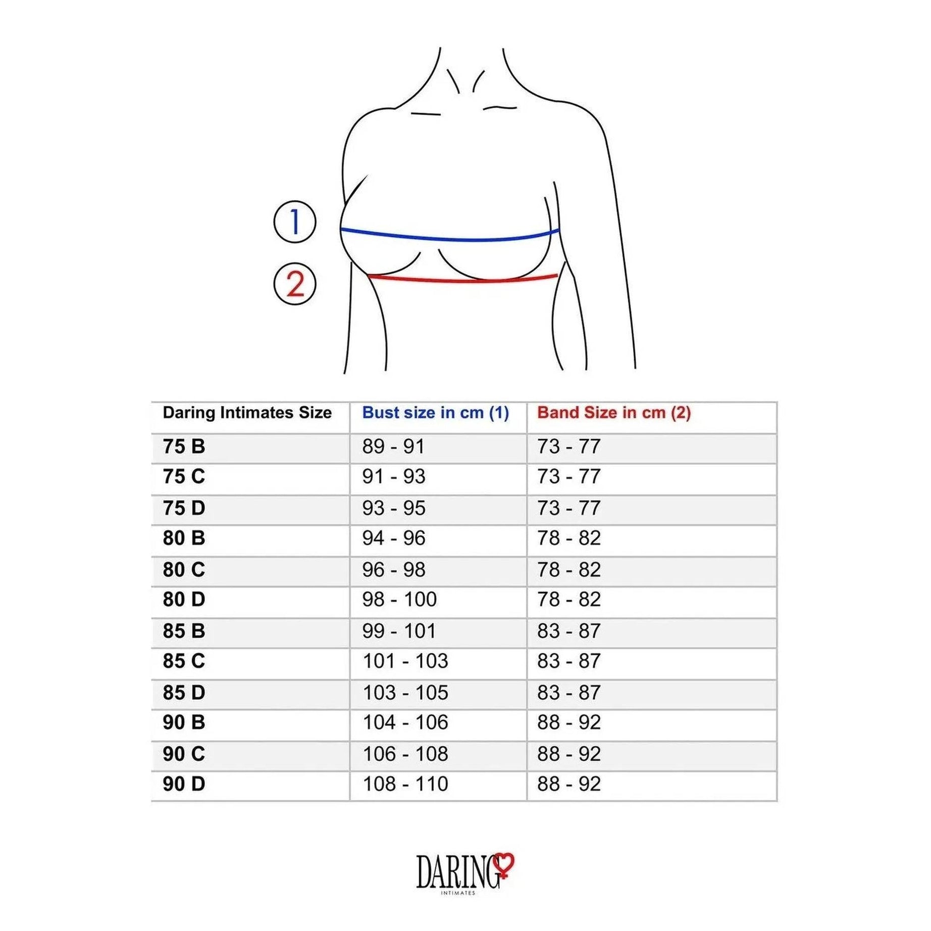 Reggiseno Sexy Con Pizzo Nero e Inserto Centrale Trasparente