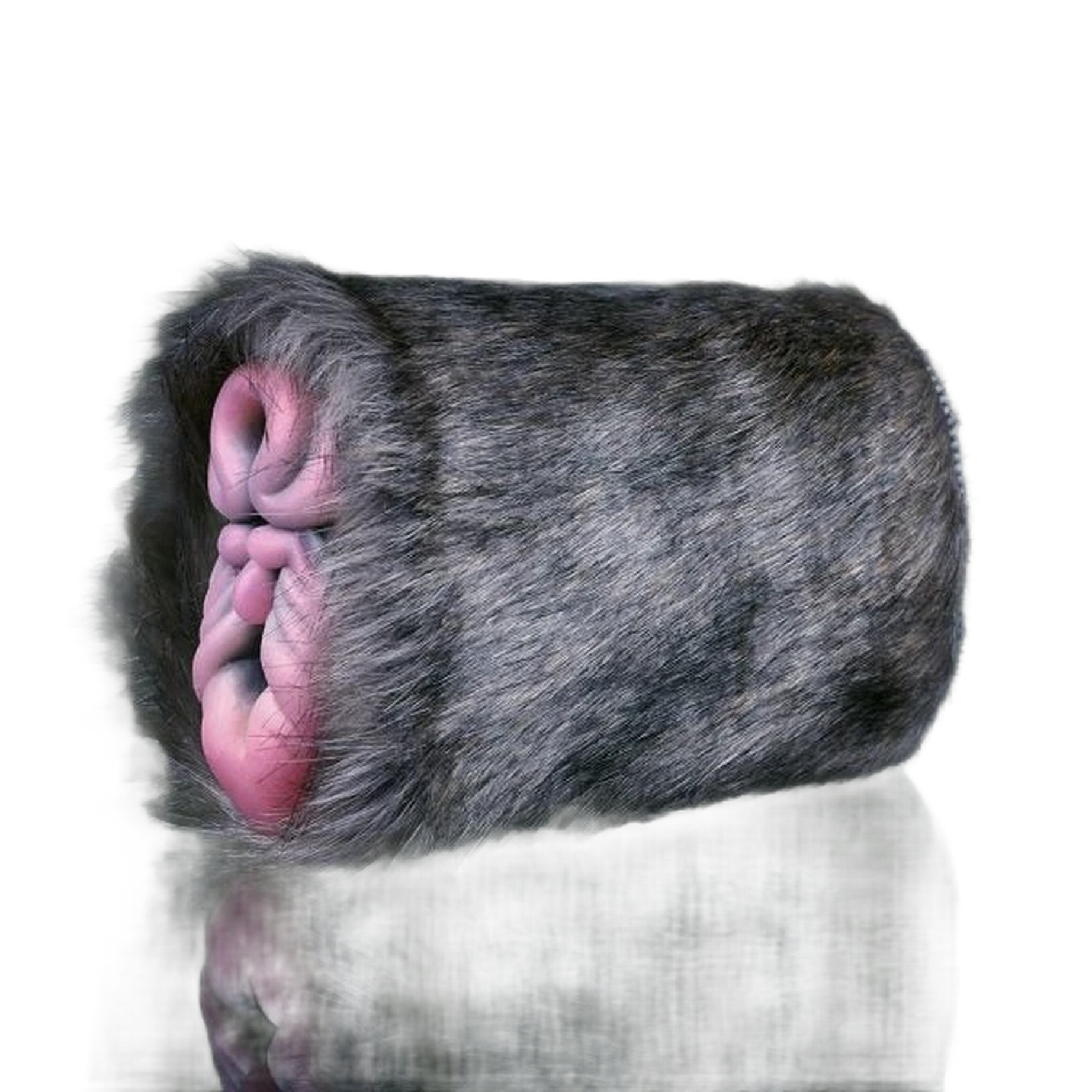 Rhinoceros Pussy Sex Toy Male Masturbator With Double Channel