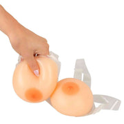 Seni in Silicone