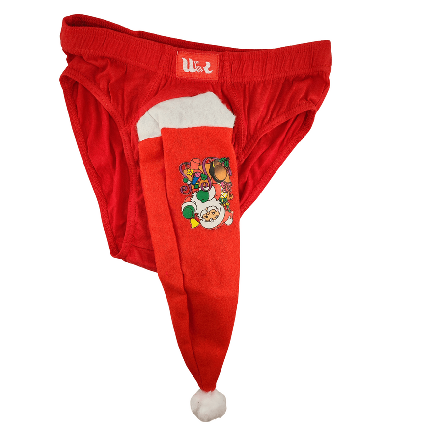 Christmas Men's Briefs with Trunk Hat