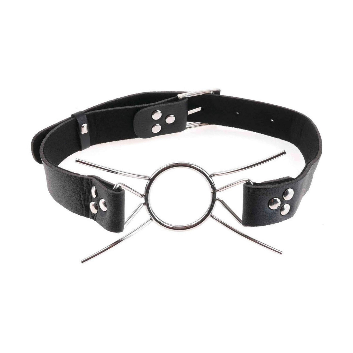 Spider Gag