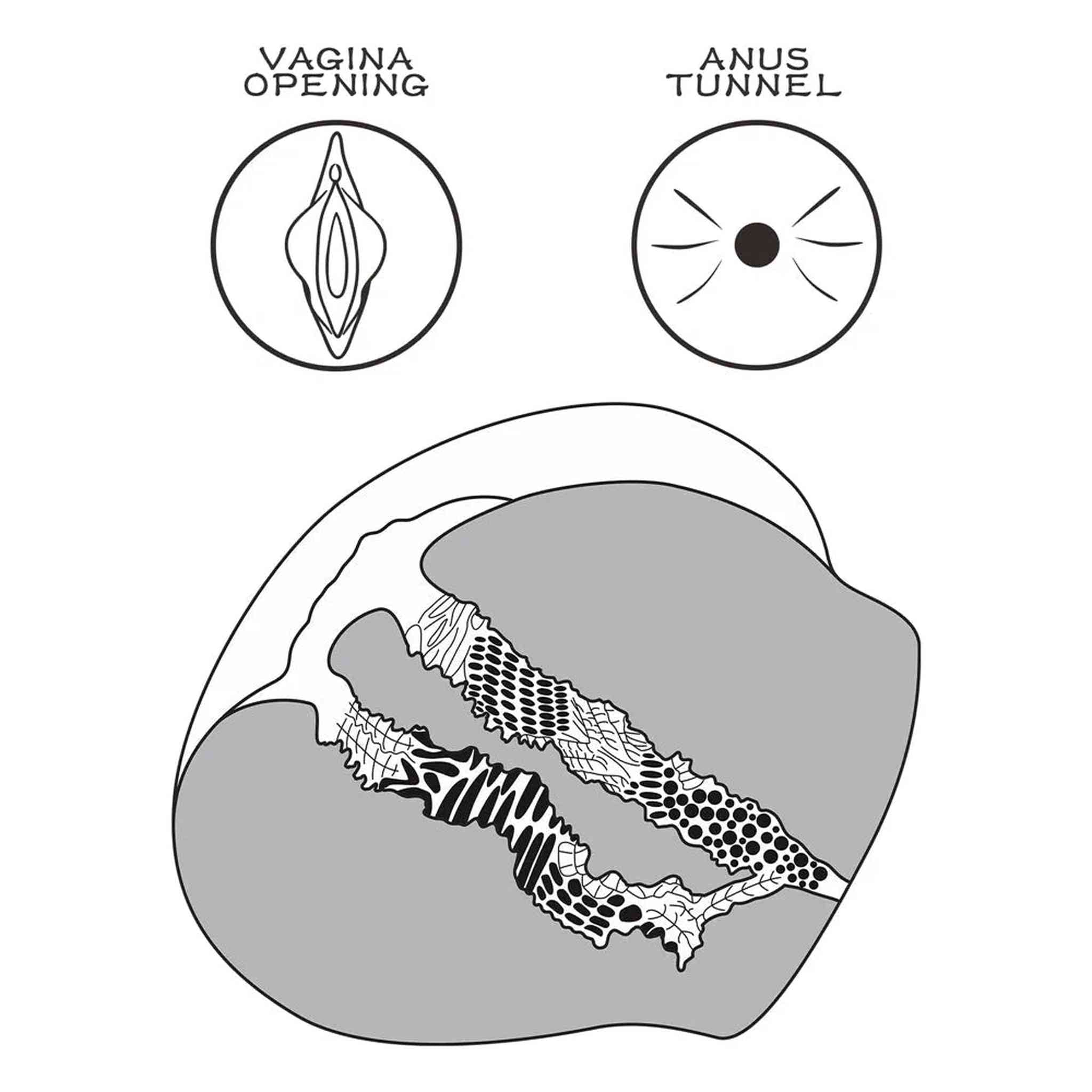 Streetgirl No. 11 Masturbatore Realistico Ano e Vagina con Perizoma "Bitch"