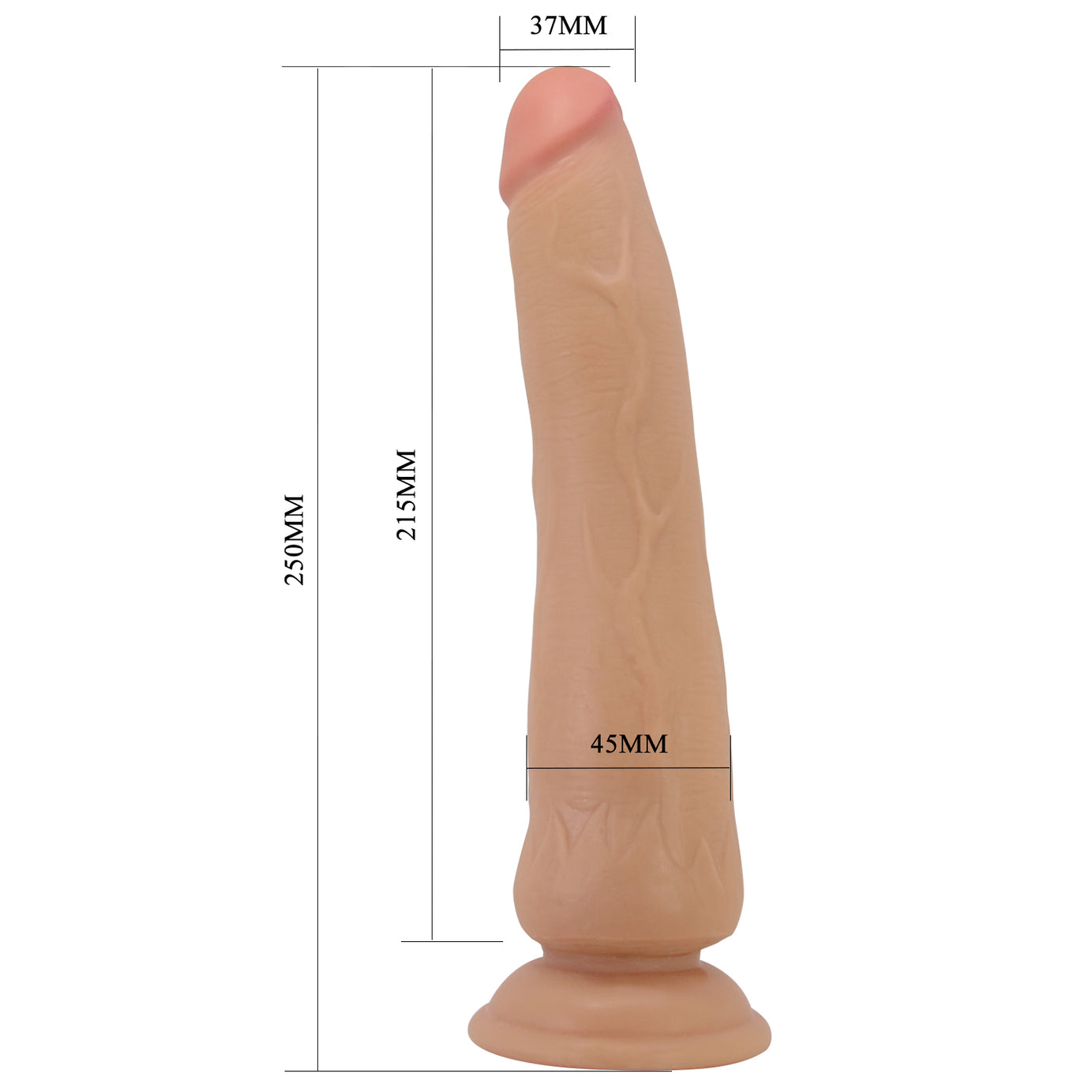 Tiemeyer Dildo Scappellabile Senza Testicoli
