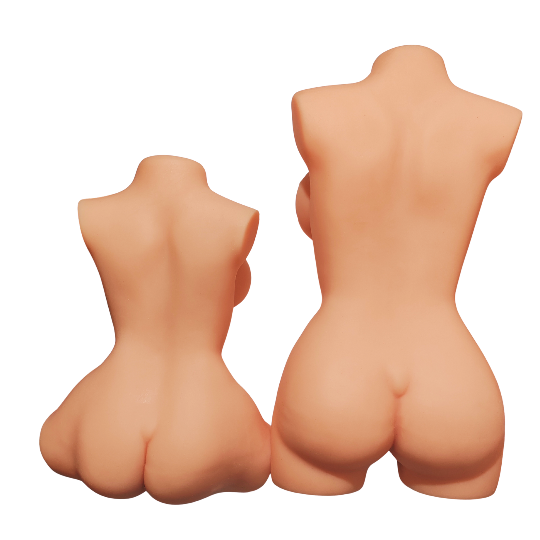 Vera Torso Realistico Donna