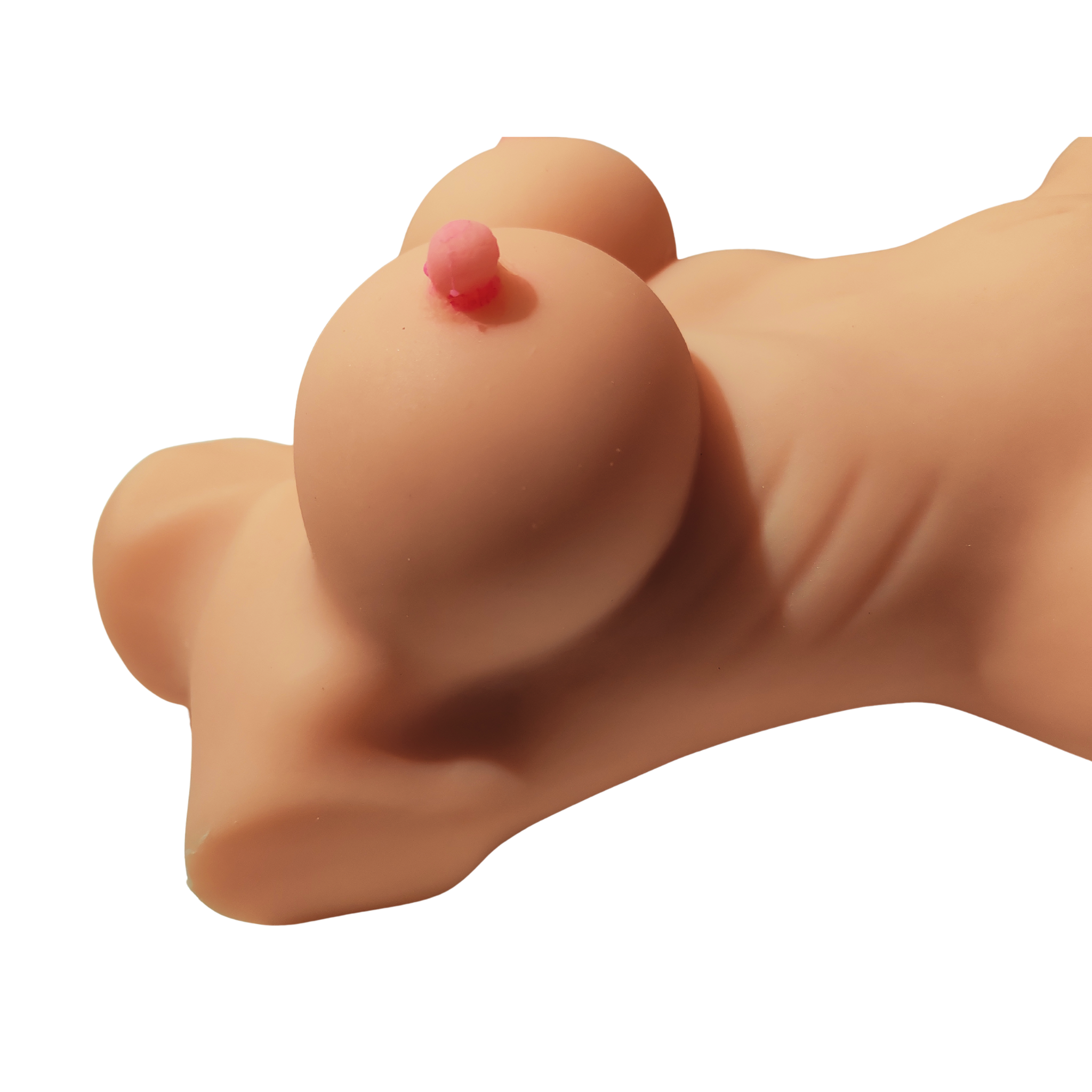 Vera Torso Realistico Donna