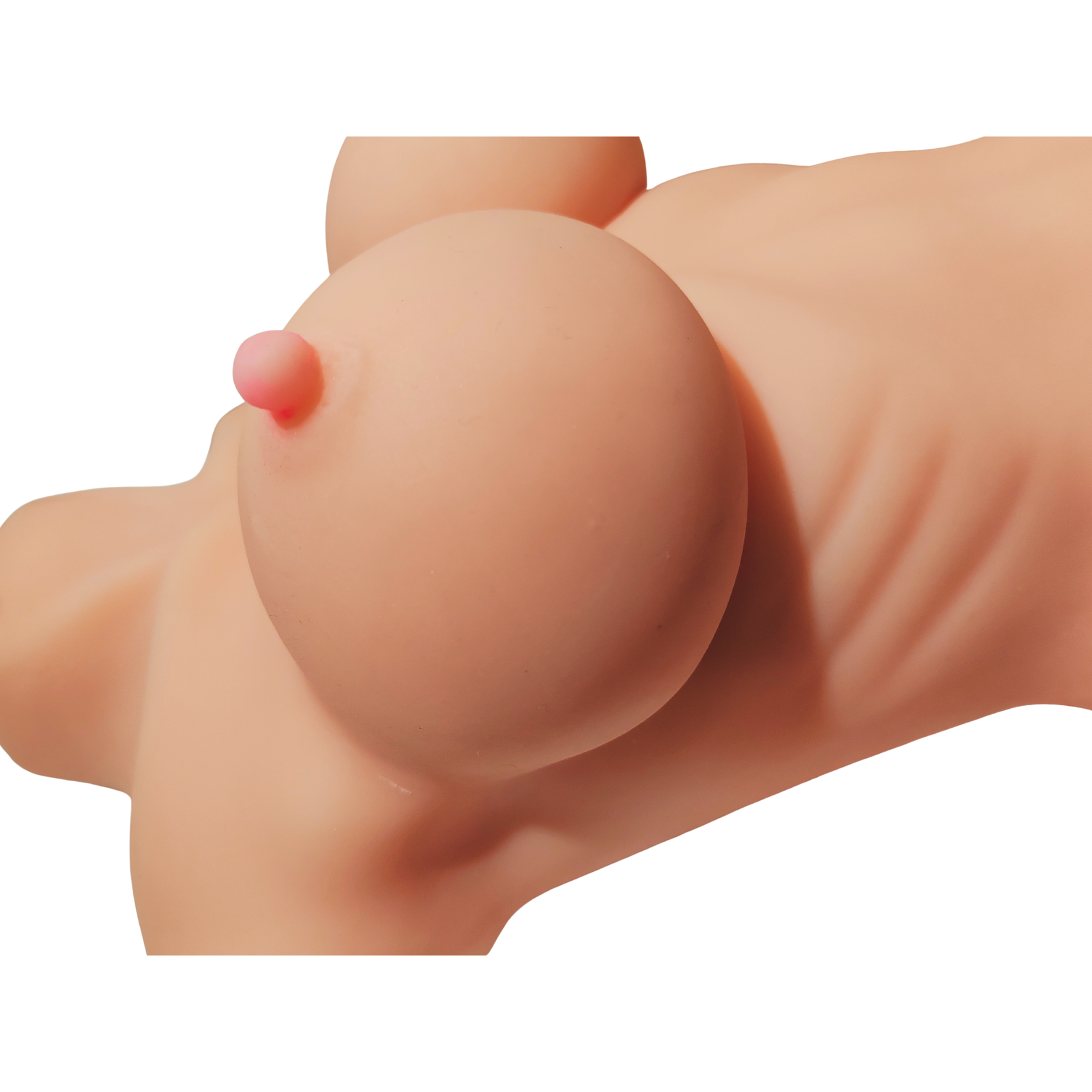 Vera Torso Realistico Donna