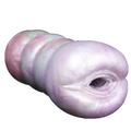 Worms Male Masturbator